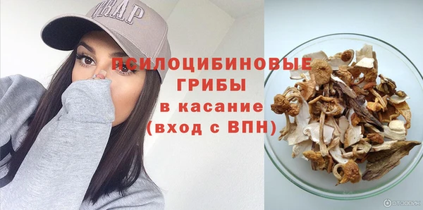 не бодяженный Алексин